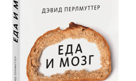 eda_i_mozg_3D_1800